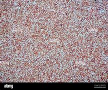 Image result for Grainy Red
