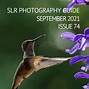 Image result for slr photography