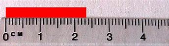 Image result for 25 Centimeter Object