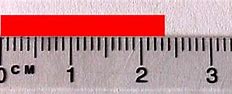 Image result for How to Measure Using a Centimeter Ruler