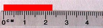 Image result for How to Read Metric Ruler