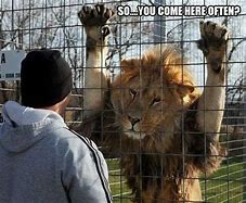 Image result for Four Lions Meme