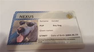 Image result for Lost Nexus Card