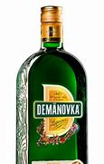 Image result for demänovka