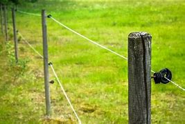 Image result for Electric Cattle Fence