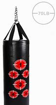 Image result for Punching Bags for Martial Arts