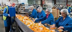 Image result for Warehouse Packing Food