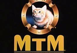 Image result for City MTM Credits