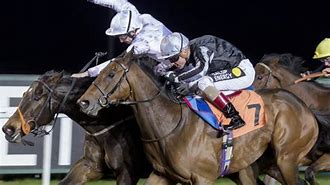 Image result for site:betting.betfair.com