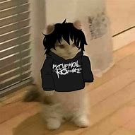 Image result for Emo Cat Boy Meme