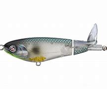 Image result for Fishing Bait