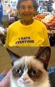 Image result for Grumpy Cat Slogans