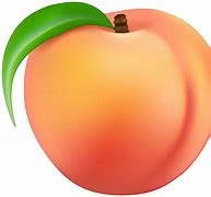 Image result for Peach Clip Art