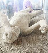 Image result for Pompeii Body Molds