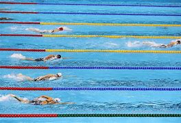 Image result for Competitive Swimming Freestyle