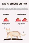 Image result for Raw Food Diet Cats