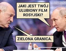 Image result for co_to_za_zięba