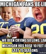 Image result for Michigan Fan Meme