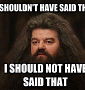 Image result for Harry Potter Memes Hagrid