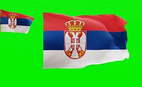 Image result for Principiality of Serbia Flag