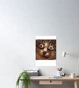 Image result for Cat with Big Eyes Meme