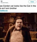 Image result for Cats Movie 2019 Memes