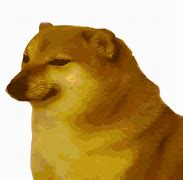 Image result for Doge with Meme Glasses