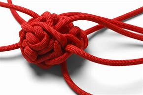 Image result for Rangled Rope