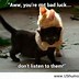 Image result for Bad Luck Funny Quotes