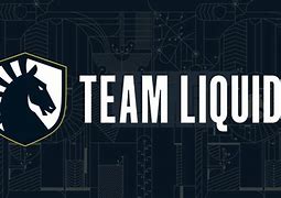 Image result for Liquid eSports