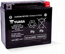 Image result for Yuasa YTX20L-BS