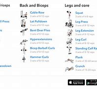 Image result for 3-Day Full Body Workout Routine