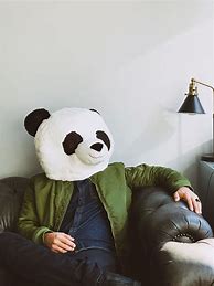 Image result for Panda Head Costume
