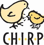 Image result for Chirp Face