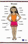 Image result for Anatomy in Spanish