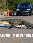 Image result for Make America Florida Meme