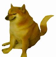 Image result for Doge Meme PFP 1080X1080