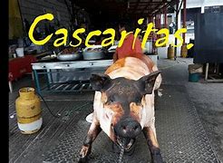 Image result for cazcarrioso