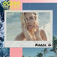 Image result for Karol G Album Photos