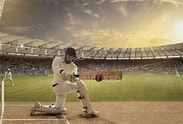 Image result for Cricket Bat Action