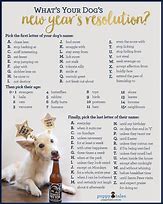 Image result for New Year S Resolution Humor Dog