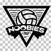 Image result for Volleyball League Logo