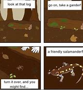 Image result for Salamander Meme