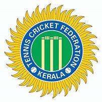 Image result for What Is a Cricket On a Roof