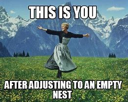 Image result for Empty Nester Meme