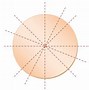 Image result for Horizontal Plane of Symmetry