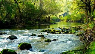 Image result for Pics of Nature in Serbia