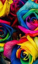 Image result for Rainbow Flower iPhone Wallpapers