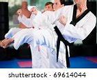 Image result for martial arts'