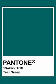 Image result for iPhone 11 Teal Green